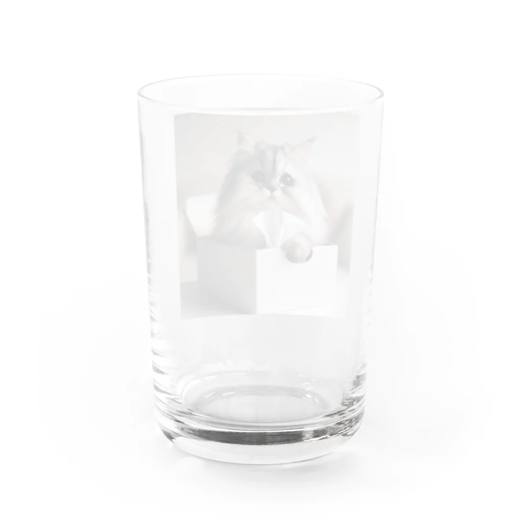 パパネコの暖かいにゃ〜 Water Glass :back