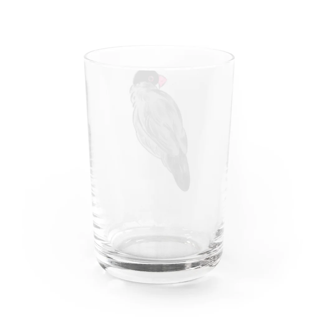 suzuaoのふさふさ文鳥くん Water Glass :back