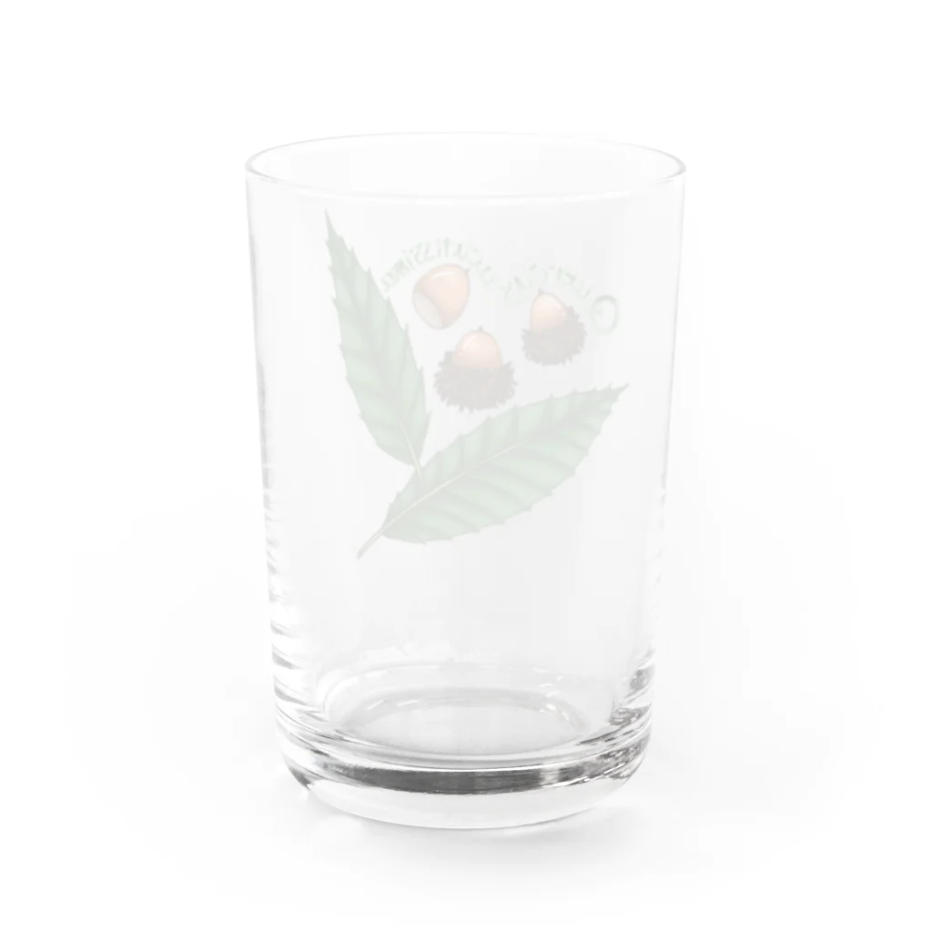 コガネ🌱水辺と緑のクヌギノミトハ Water Glass :back