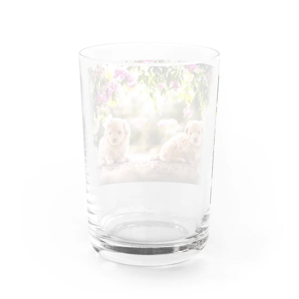 migiwanchanのブーゲンビリアマルプー Water Glass :back