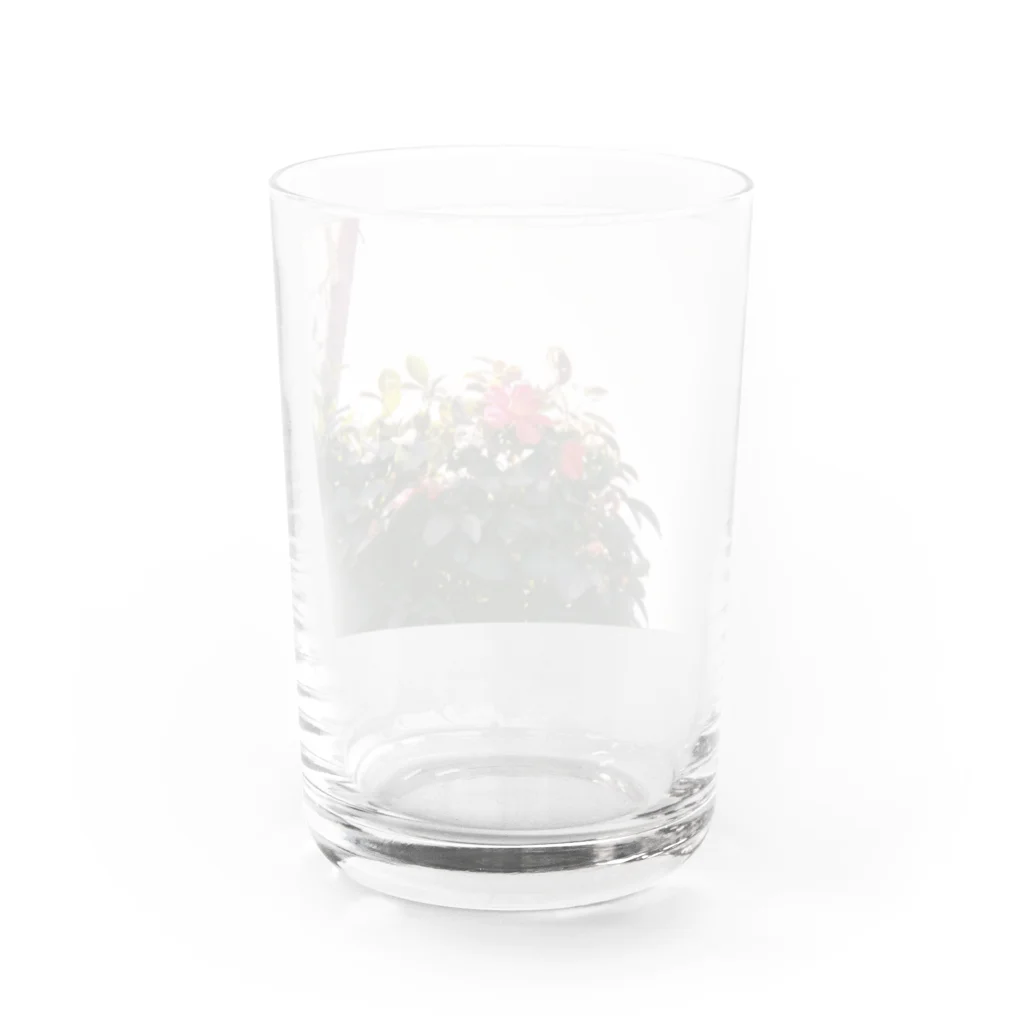 こここのどこかの花 Water Glass :back