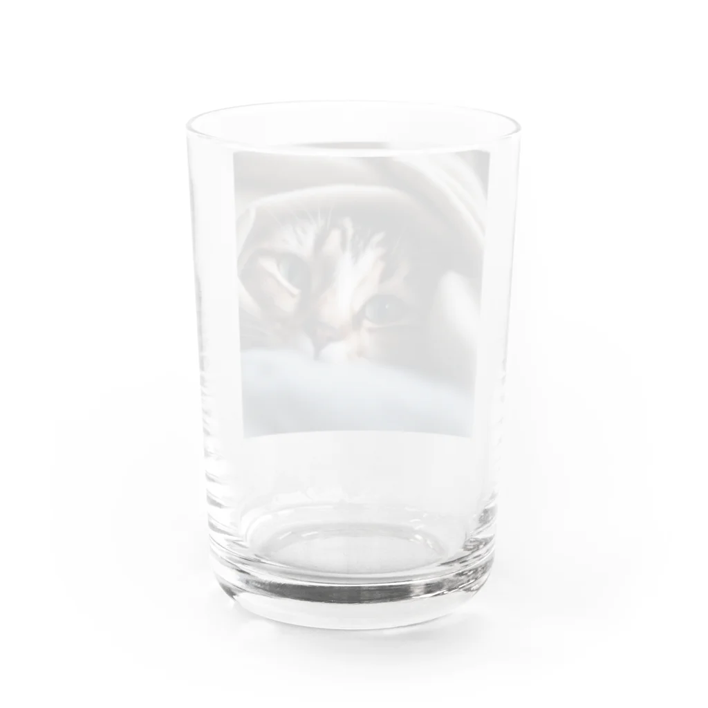 feliceの毛布の下に隠れている猫 Water Glass :back