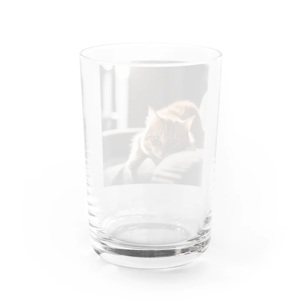 feliceのリビングでごろんとする猫 Water Glass :back