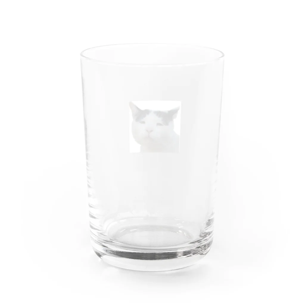 fukayanのブサかわ猫　ベン Water Glass :back