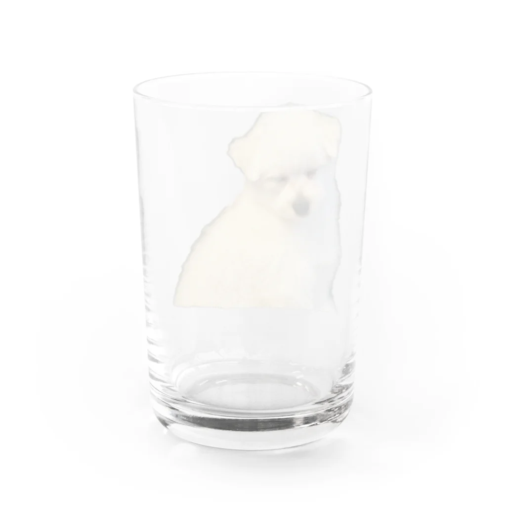 Luke The Onlyワンッ!!のSLEEP DOG Water Glass :back