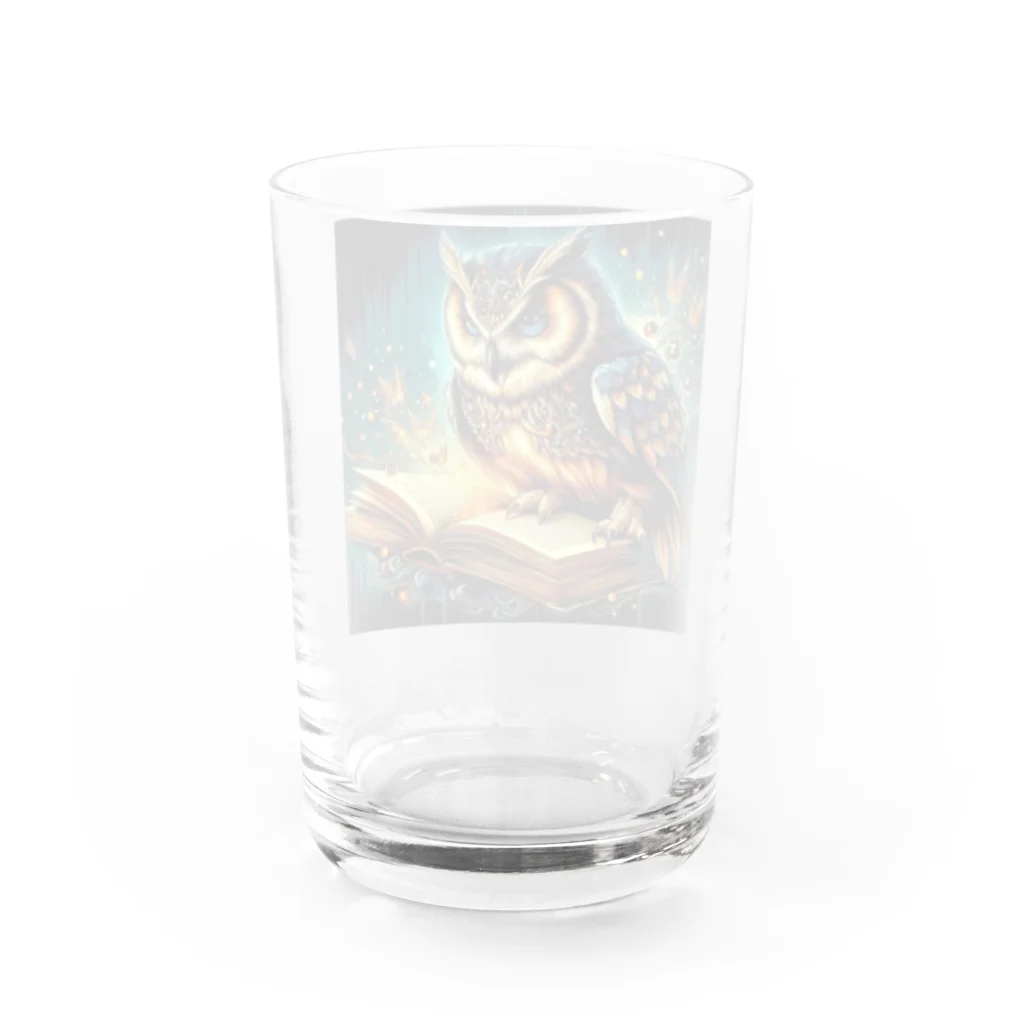 終わらない夢🌈のフクロウ🦉🌕 Water Glass :back