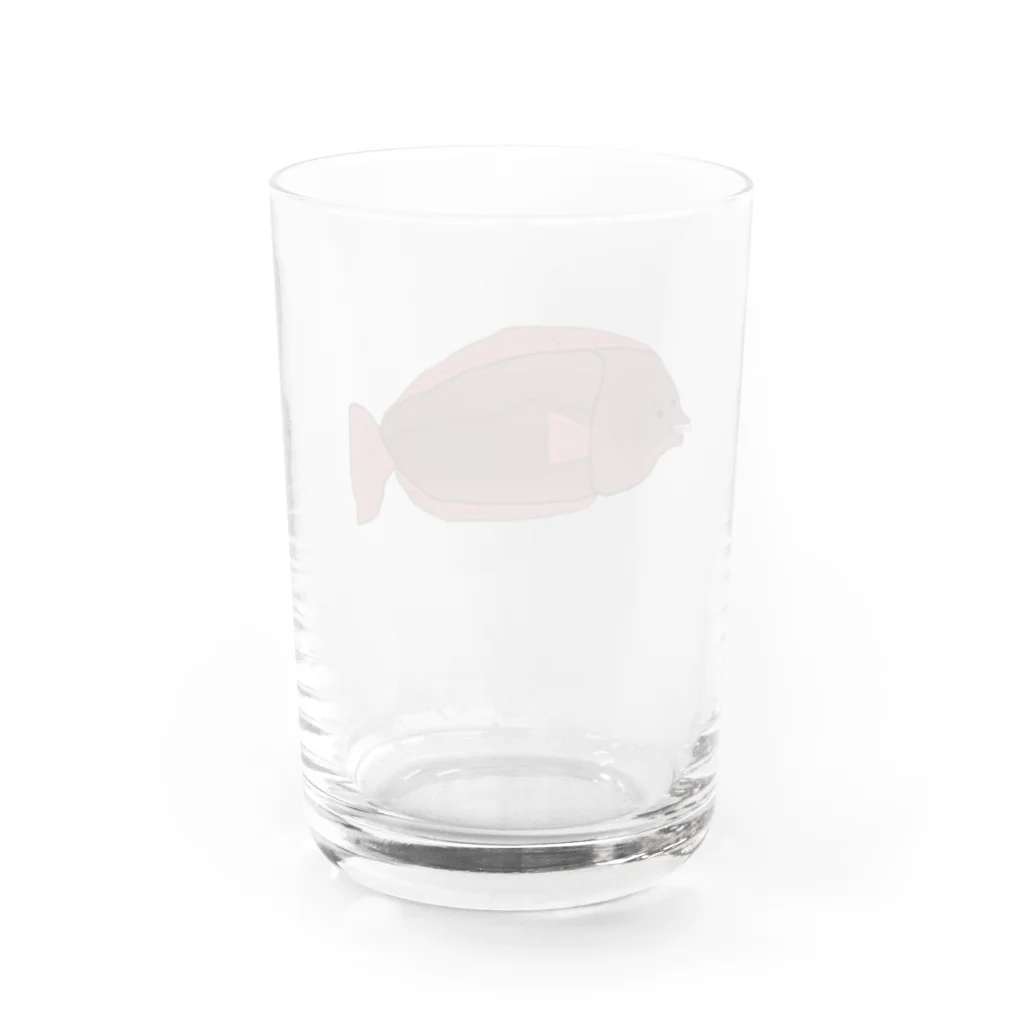 THE_CASTのTHE ヒラメ Water Glass :back