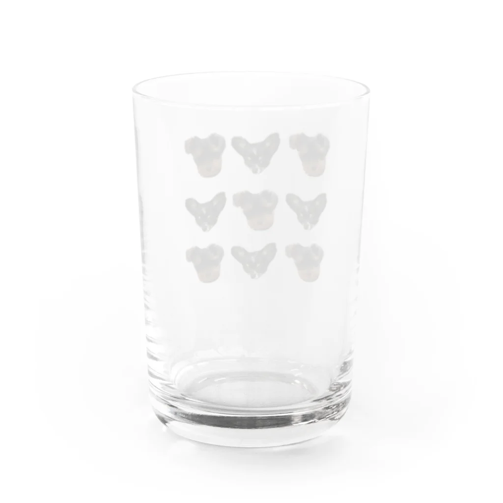 チワワのバレンとヨープーのテアのチワワとヨープー Water Glass :back