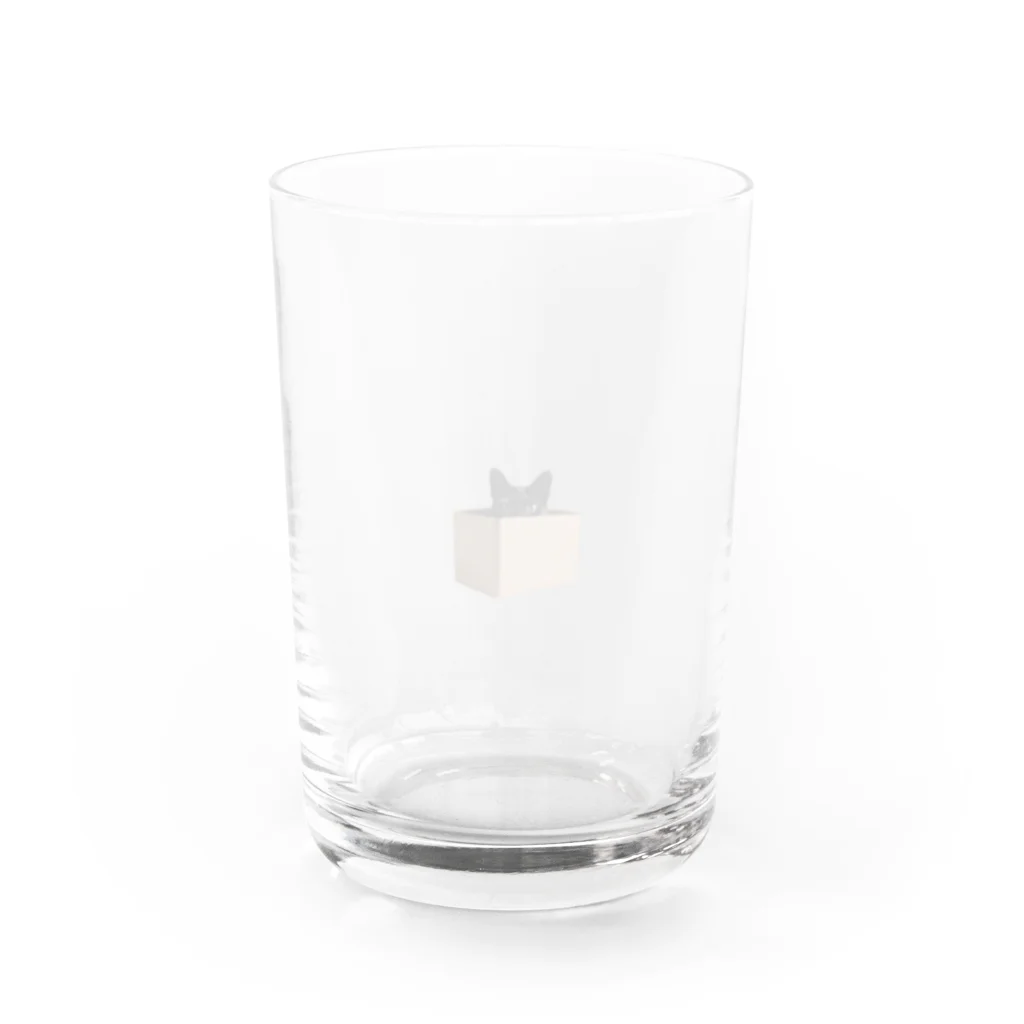 こっそりクロネコ。のハコイリクロネコ。 Water Glass :back