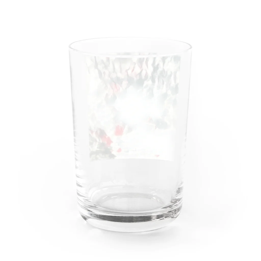 Try Anythingの波動シリーズ Water Glass :back