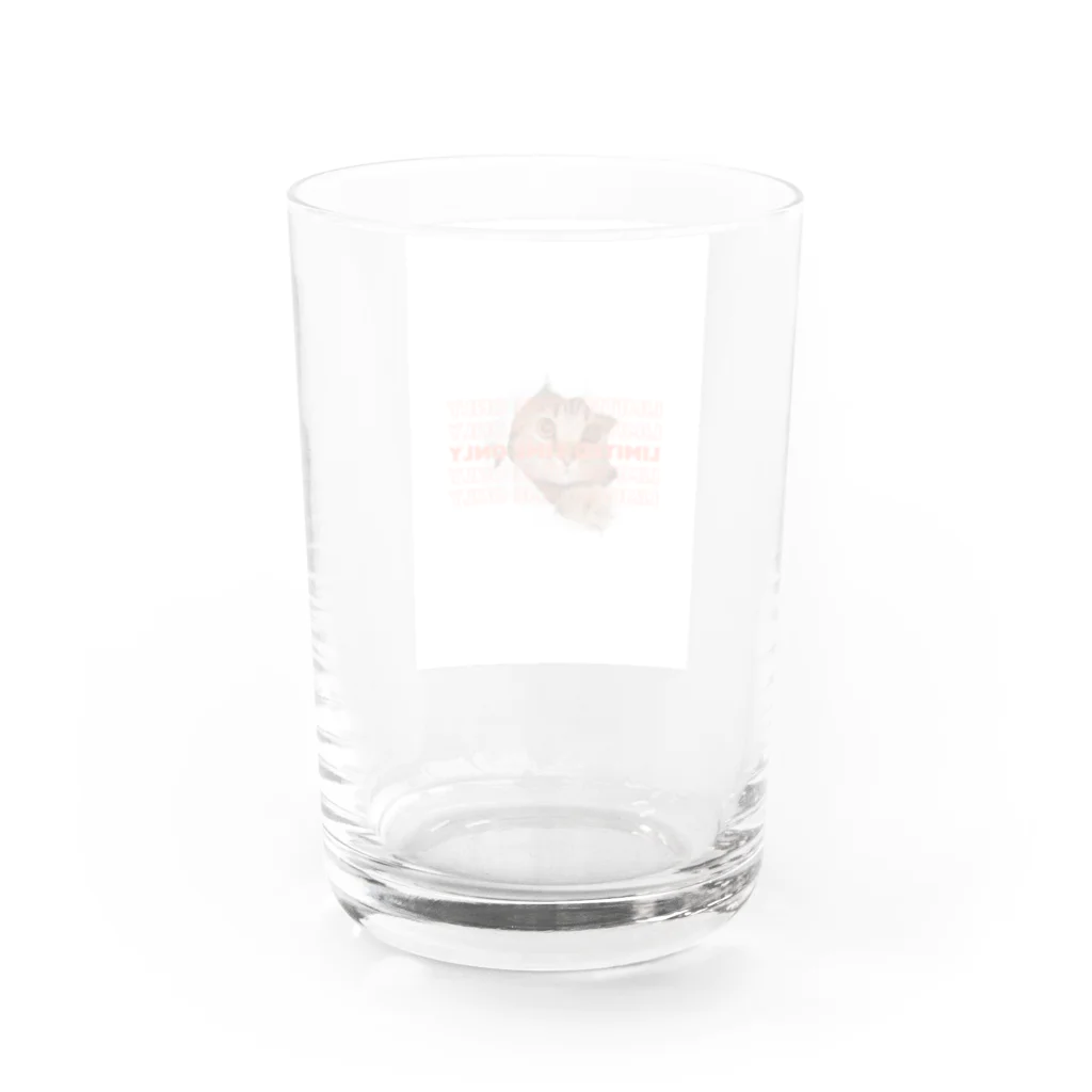 Holidayの猫 Water Glass :back