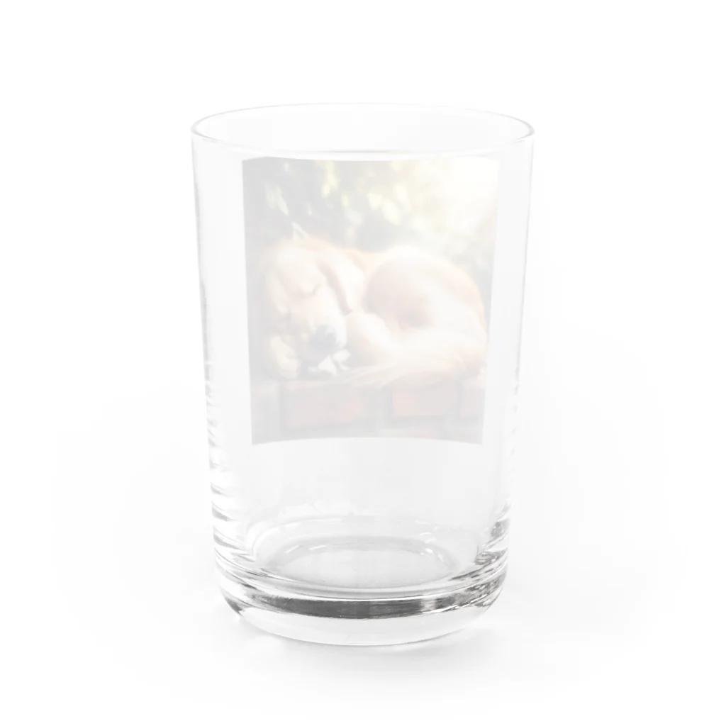 Ykhsの犬がぐっすり眠っている姿、超キュート！🐶💤 Water Glass :back