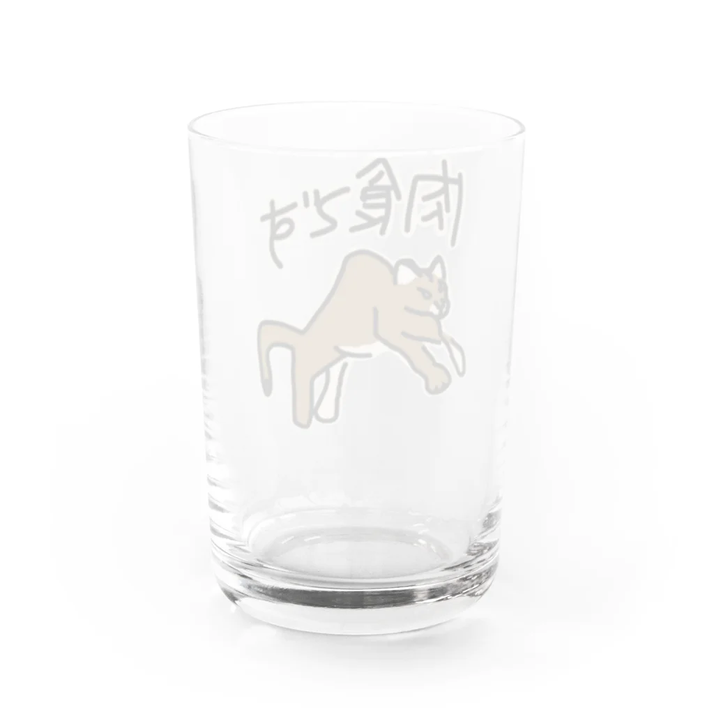 ミナミコアリクイ【のの】の肉食です【ピューマ】 Water Glass :back