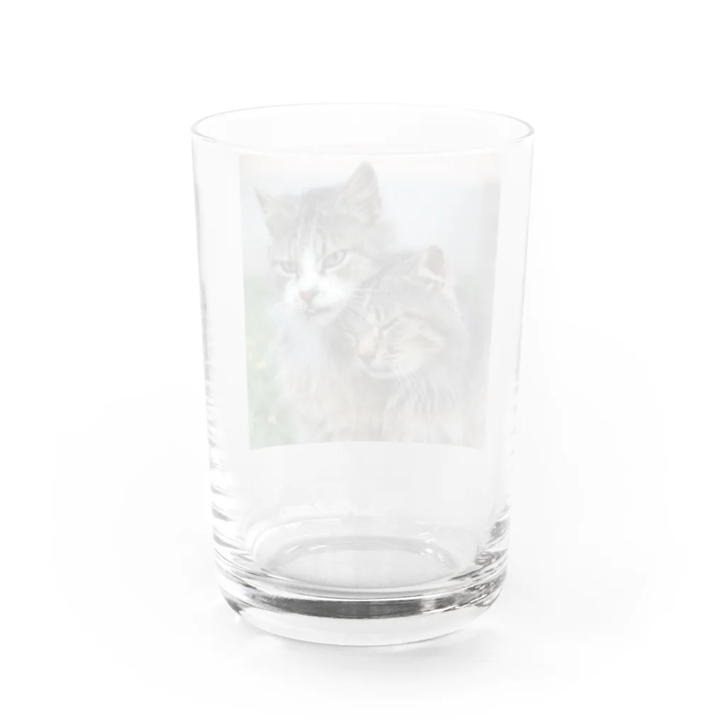 ニゴ猫　shopの愛だろう愛 Water Glass :back