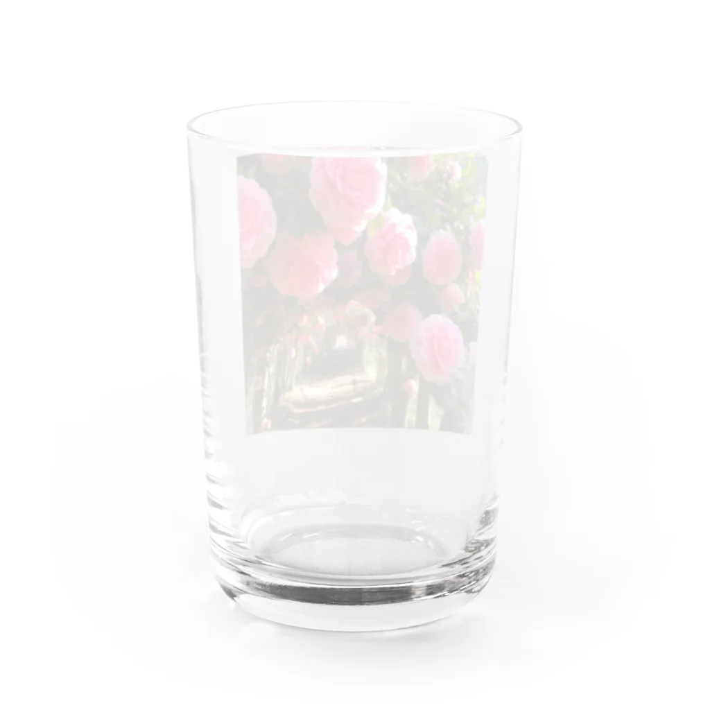 AQUAMETAVERSEの椿のドームなでしこ1478 Water Glass :back