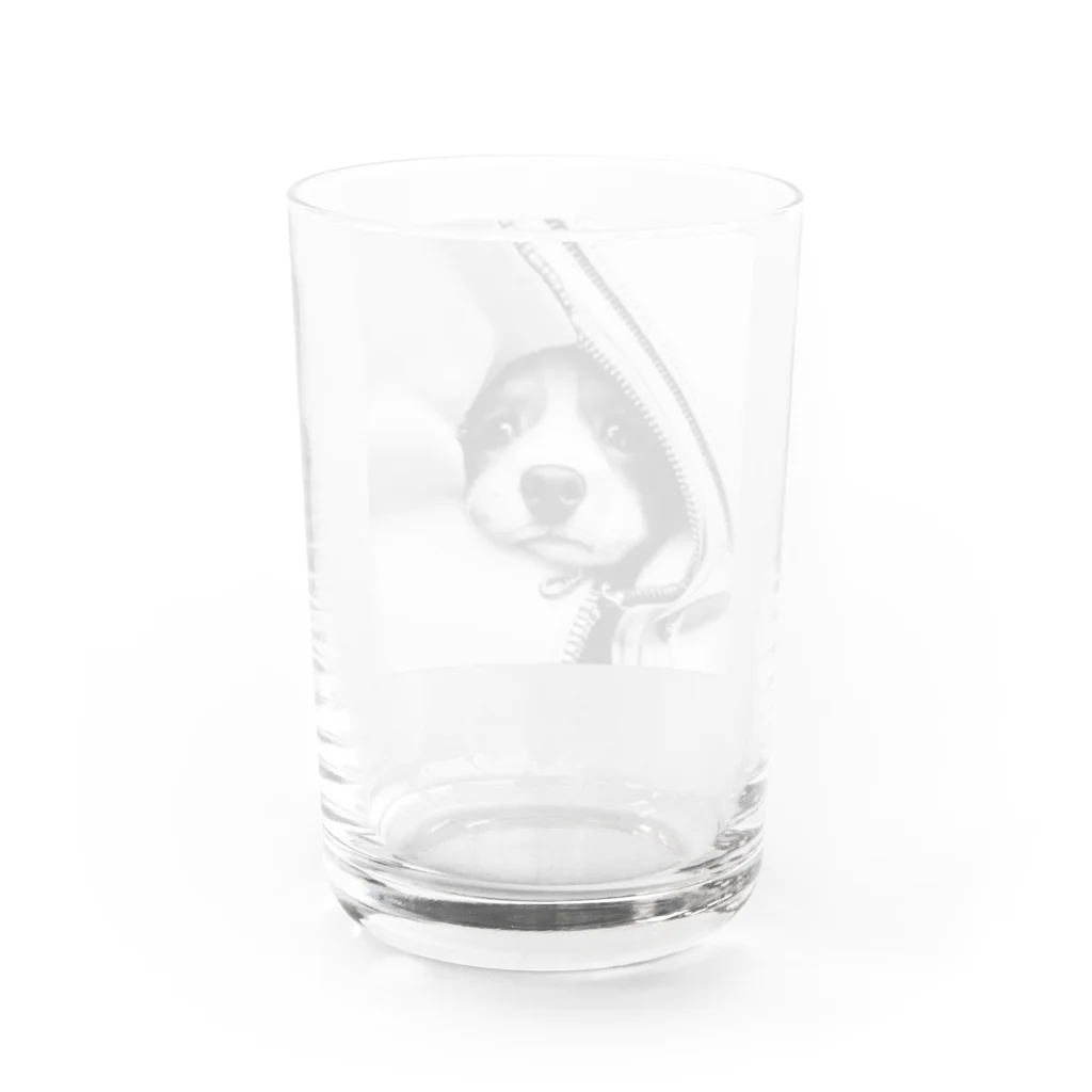 nakasato1979のジッパー犬 Water Glass :back