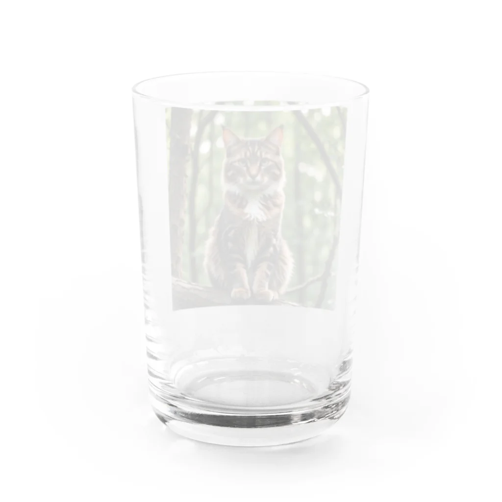 Shigeto Galaxy2hbの森の猫 Water Glass :back