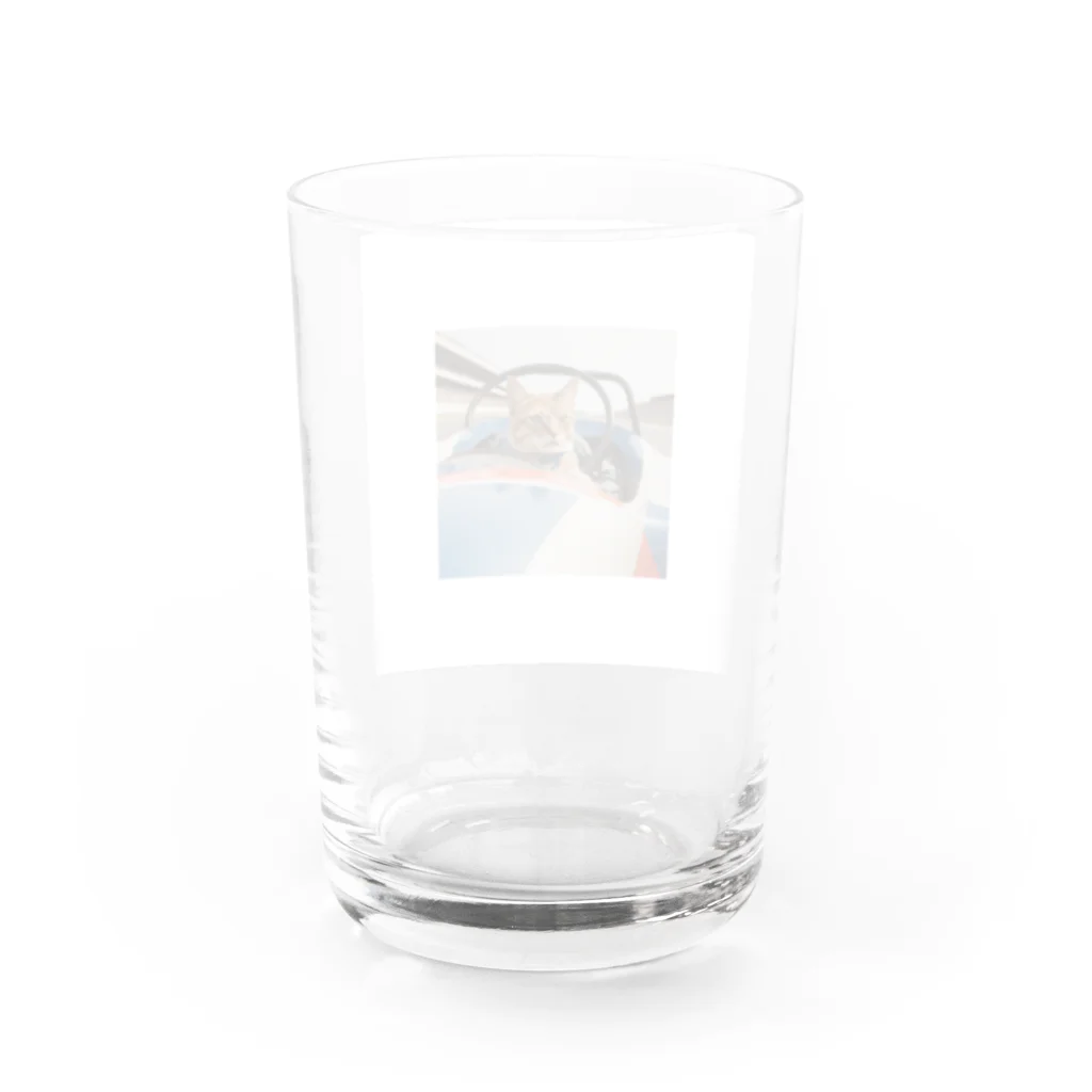 保護ねこねっこ倶楽部のスピードスターにゃんこ Water Glass :back