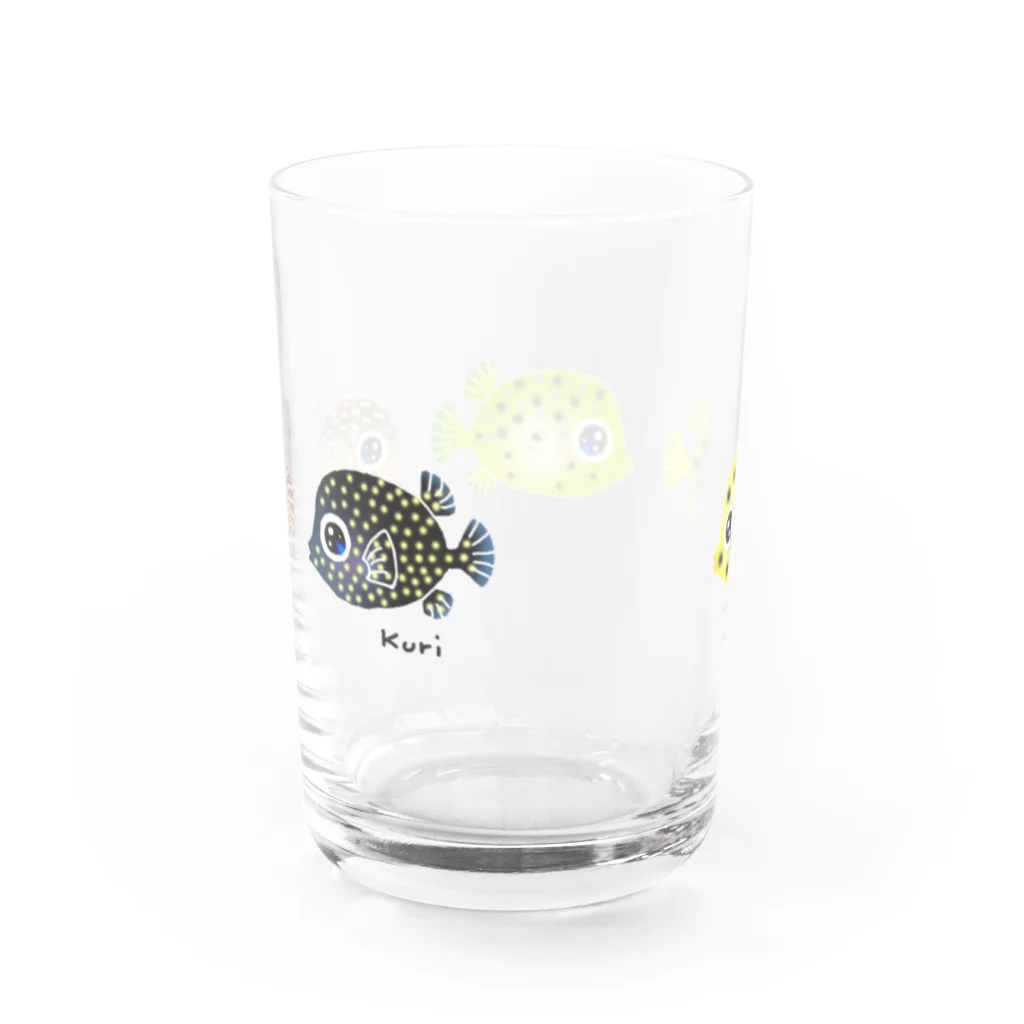 栗坊屋の幼魚だから小さいよ2 Water Glass :back