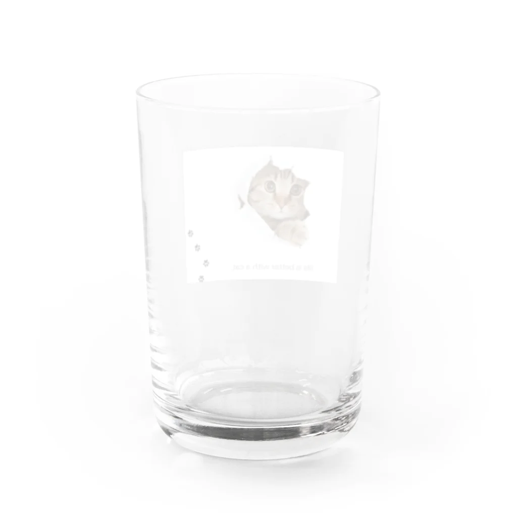 CaTsのふんわりネコ Water Glass :back