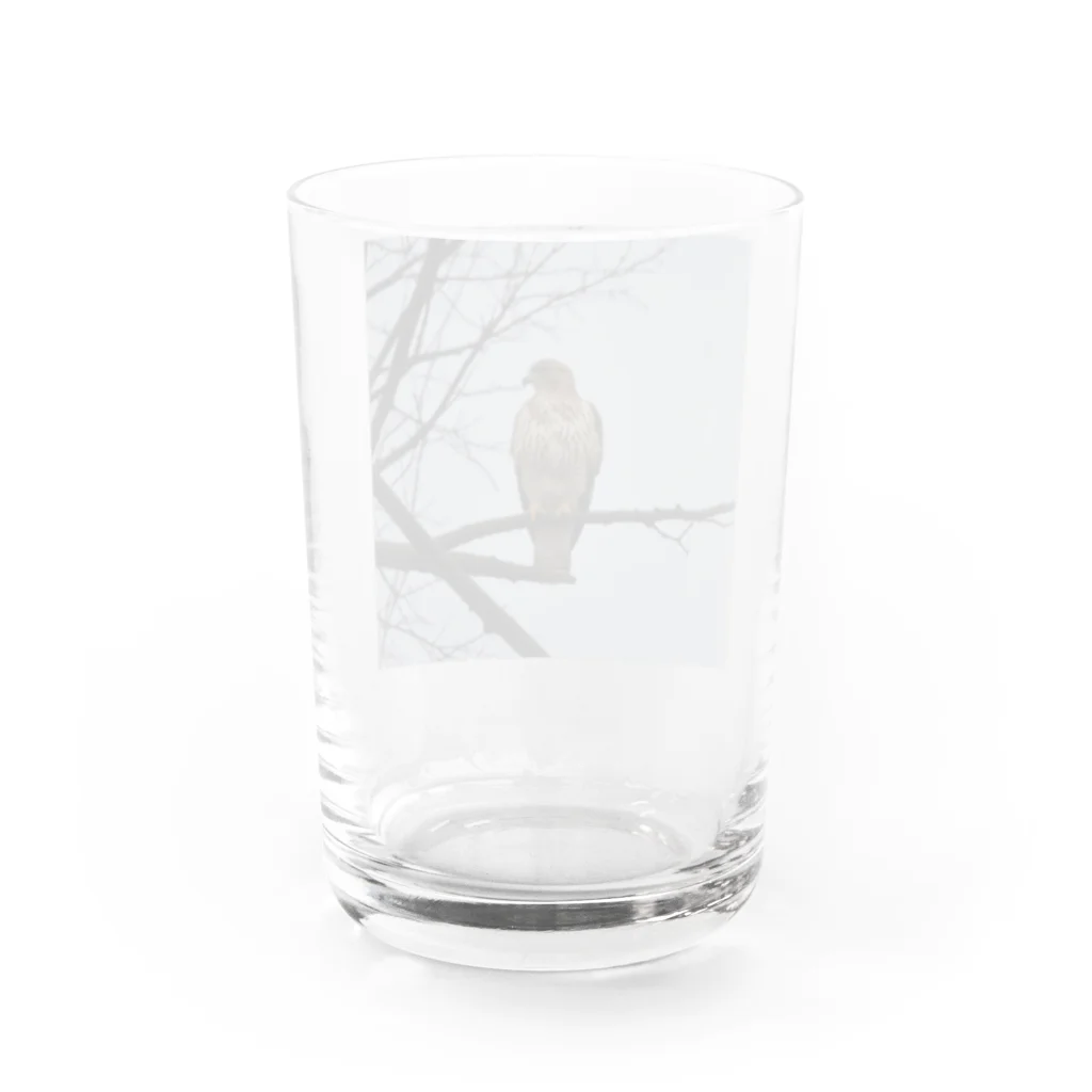 ganeshaの天候の変化に備えるタカ Water Glass :back