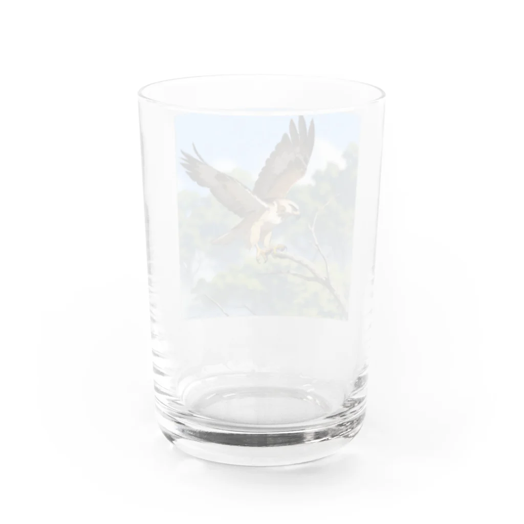 ganeshaの空中でバランスを保っているタカ Water Glass :back