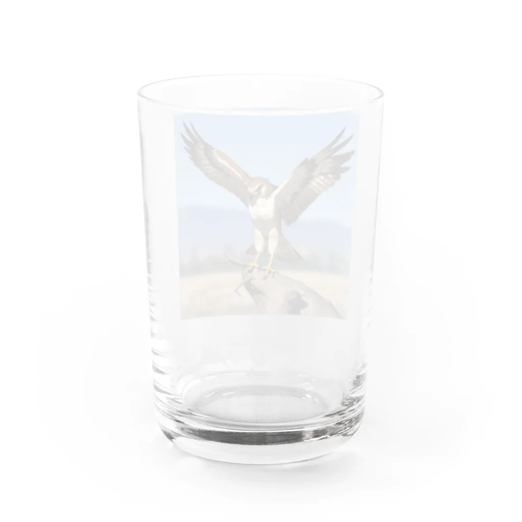 ganeshaの離陸準備中のタカ Water Glass :back