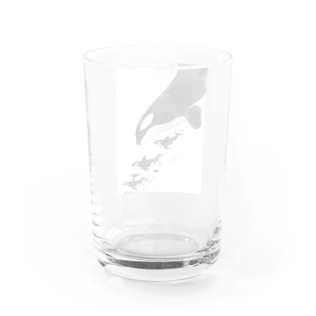 クマやんDesign図のシャチ群 Water Glass :back