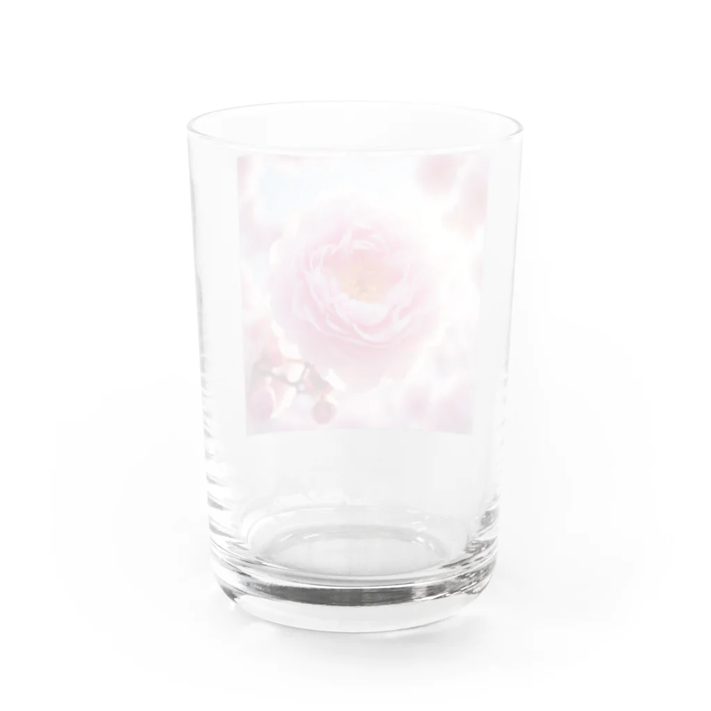 su-toの4月11日の誕生花　八重桜(牡丹桜) Water Glass :back