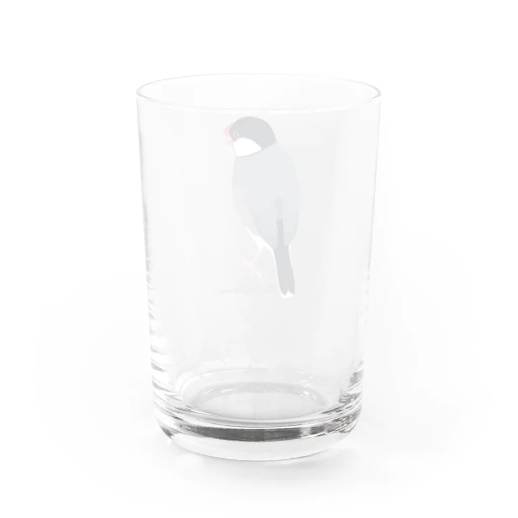 文鳥中心のたそがれ桜文鳥 Water Glass :back