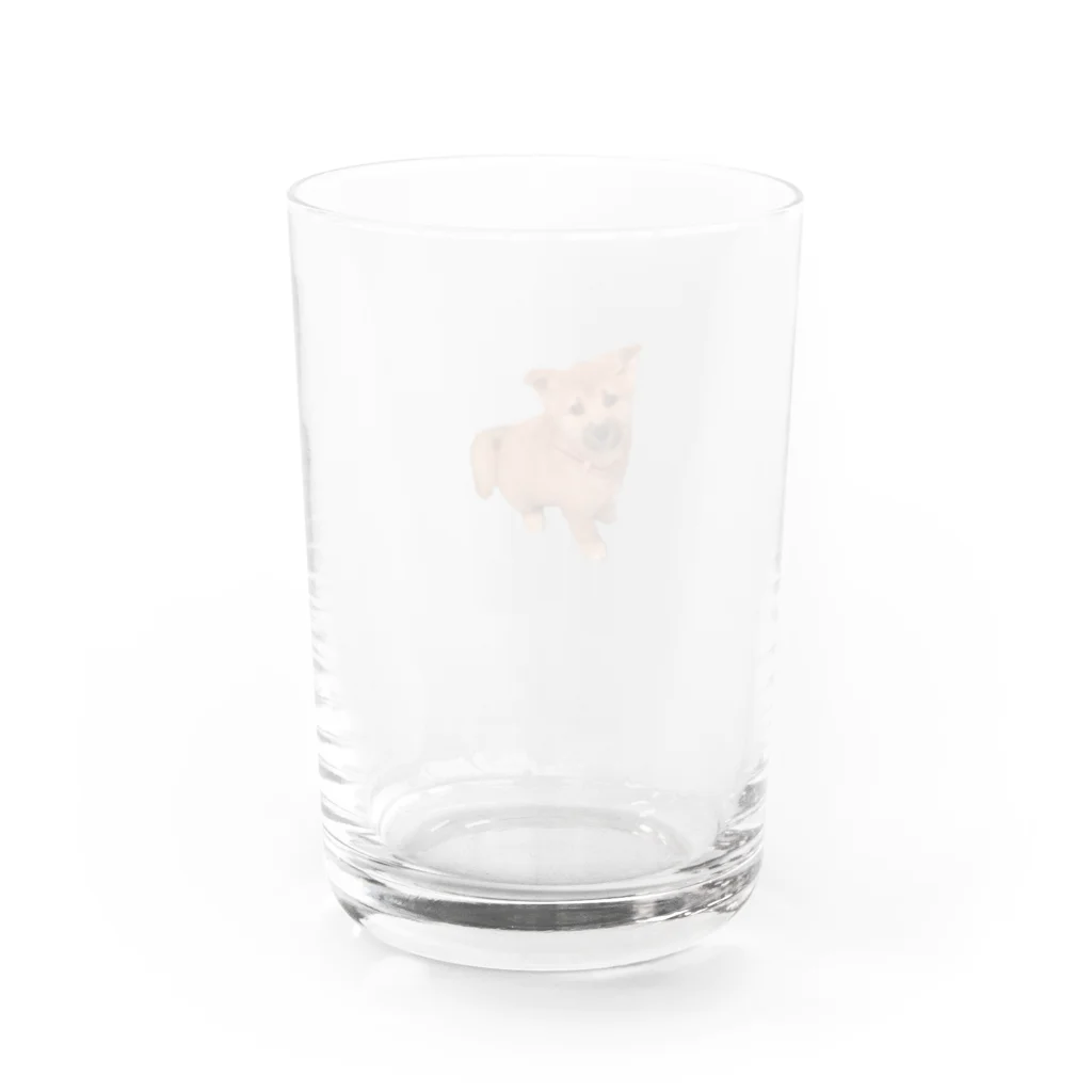 ChapiMugi(チャピむぎ)の柴犬もどき(子犬) Water Glass :back