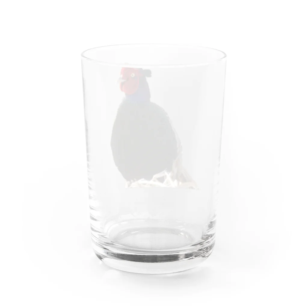 てんねんだいすきＳｈｏｐの雉 Water Glass :back