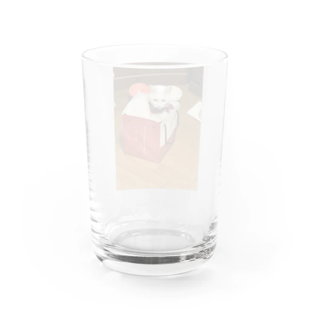 らぶみゅーの袋に隠れてるつもり(みゅーちゃんVer.) Water Glass :back