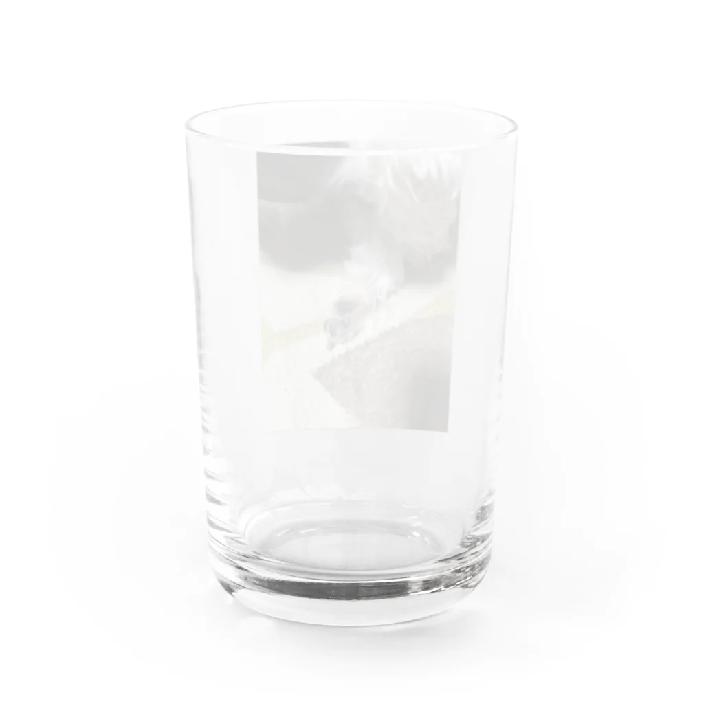 S2.カンパニーのアポロくんです！ Water Glass :back