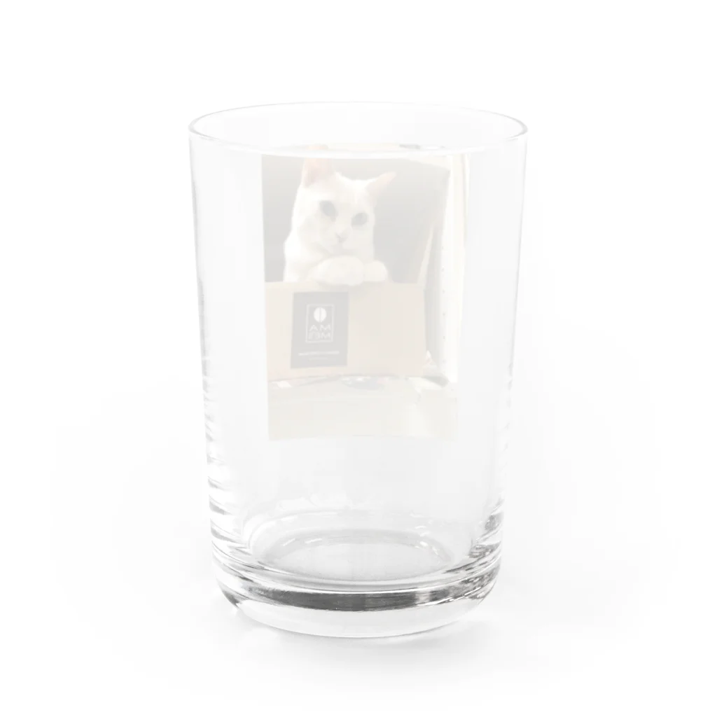 Mizuki・ASIA CATのMILUKU Water Glass :back