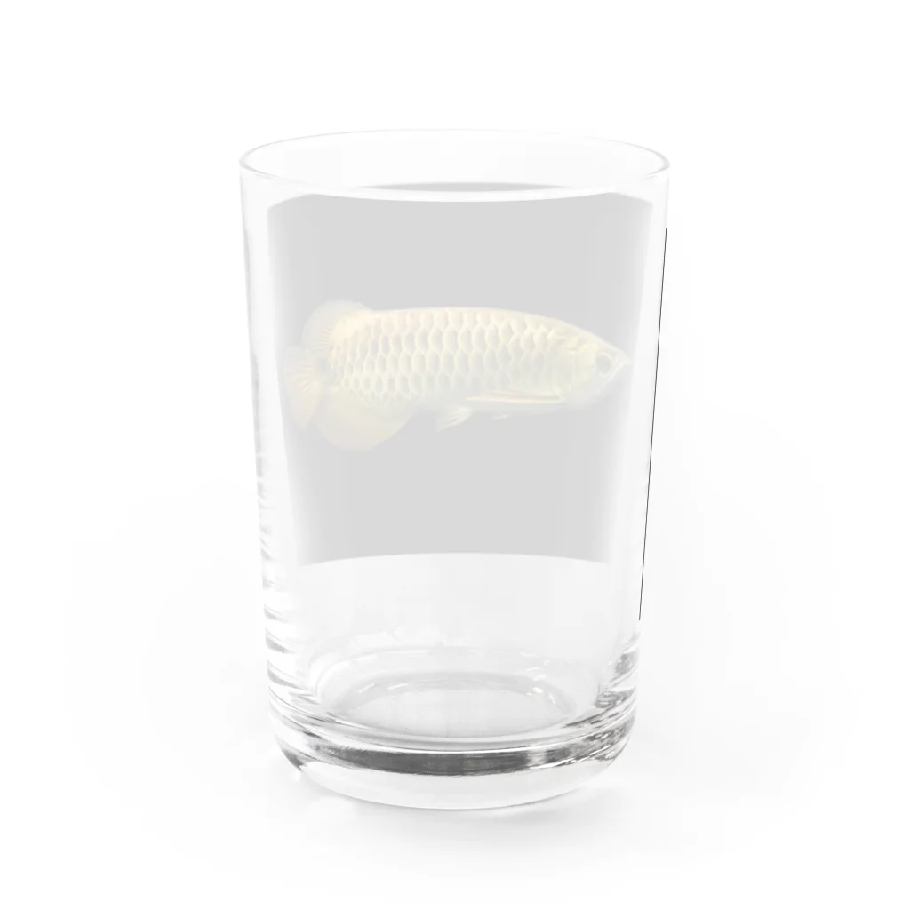 stockboxのアジアアロワナ グッズ Water Glass :back