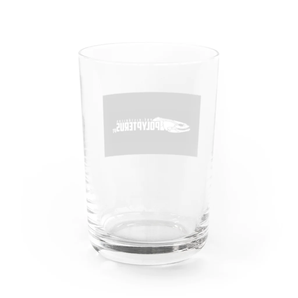 stockboxのポリプテルス グッズ Water Glass :back