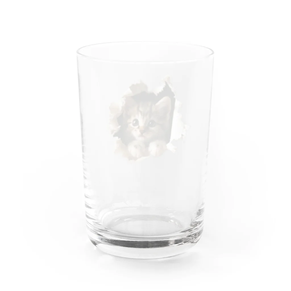 oniyanma64の子猫外を見る Water Glass :back