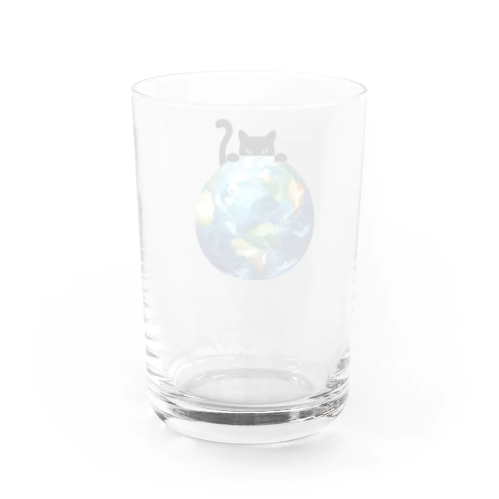 amecatsの地球と黒猫 Water Glass :back