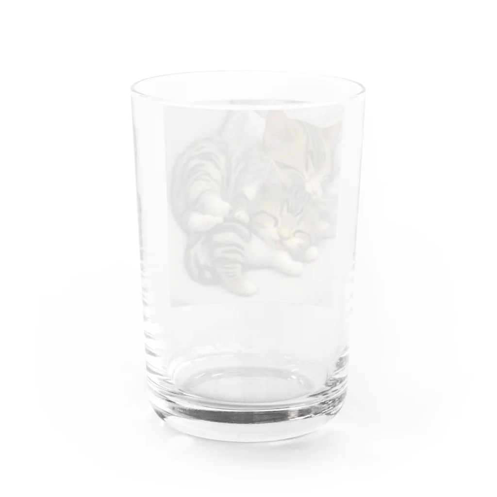 恥ずかしがり屋のねこショップの 寝ているかわいいこ猫 Water Glass :back