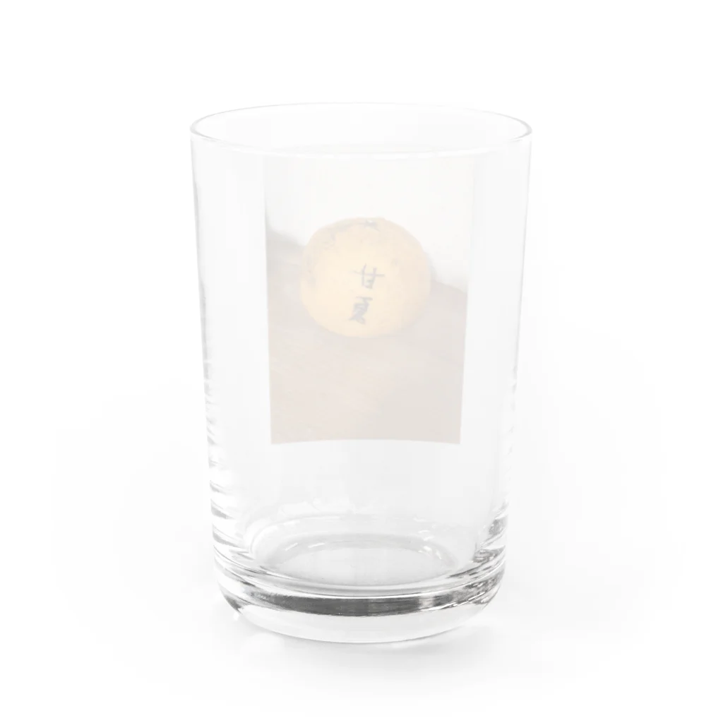 チャランコの部屋の甘夏 Water Glass :back