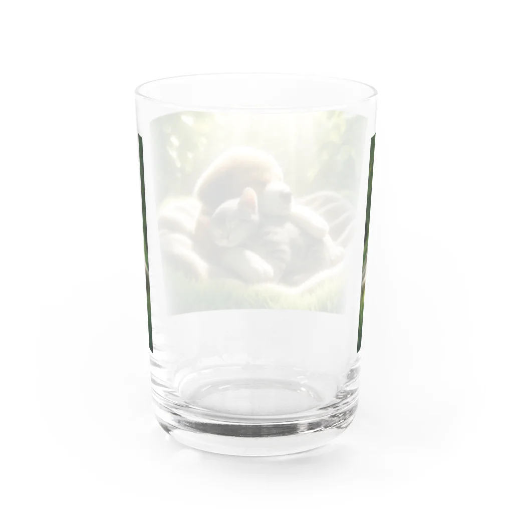 亀蘭タマムシの木漏れ日・仲良しスヤスヤ Water Glass :back