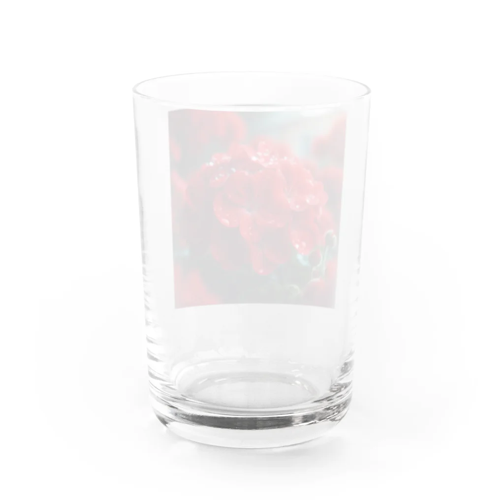 su-toの5月26日の誕生花　ゼラニウム Water Glass :back