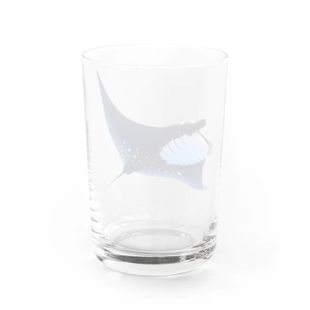 パパリスのクールブラックマンタ Water Glass :back