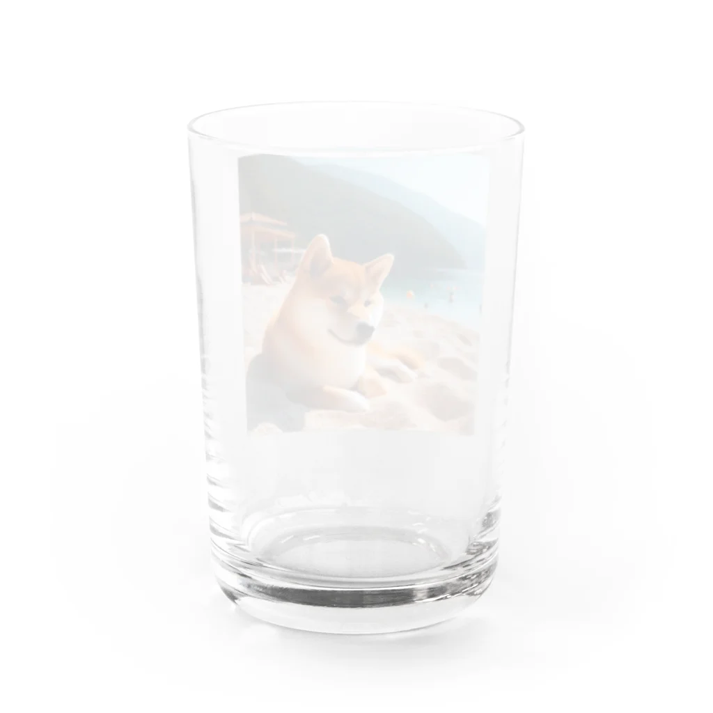 柴犬しばわんこhana873の海でまったりしている柴犬さん Water Glass :back