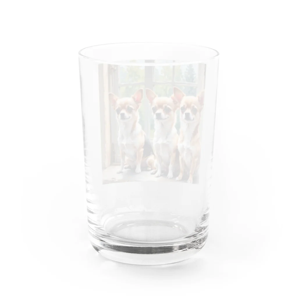 kilkoameaのキュートほのぼのチワワ兄弟 Water Glass :back