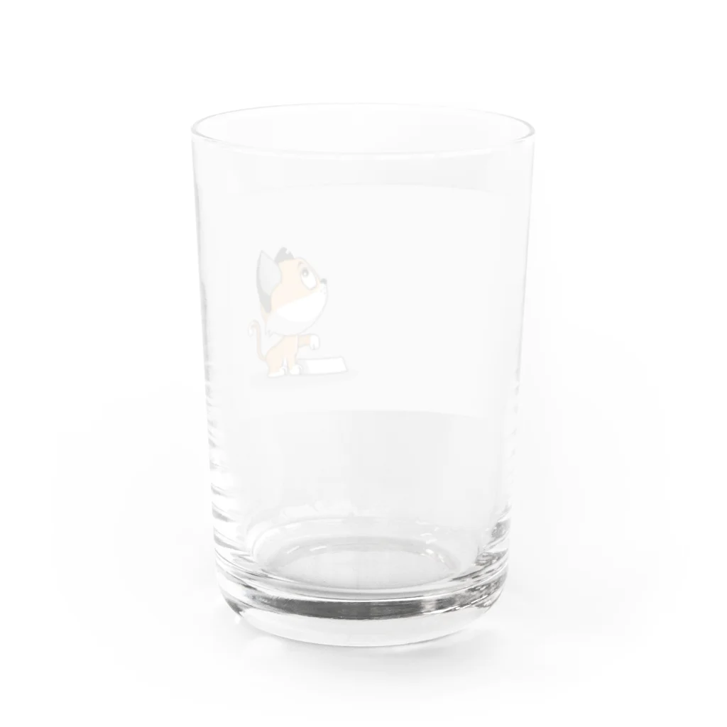 8kn356231の猫 Water Glass :back