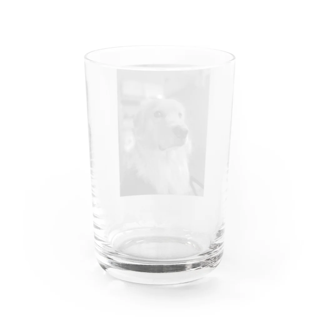 cyobi_loveのチョビ（絵画っぽい） Water Glass :back