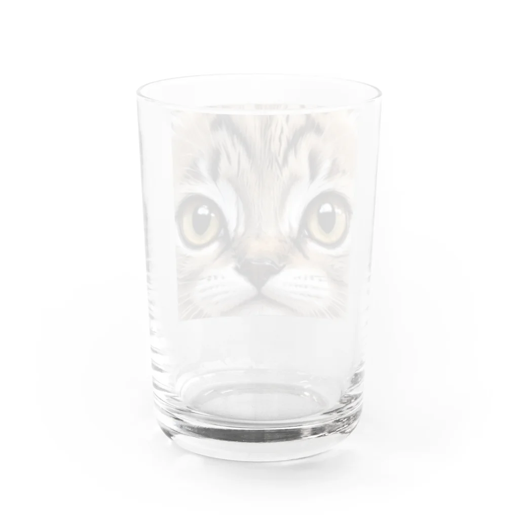 HIROICの近接子猫 Water Glass :back