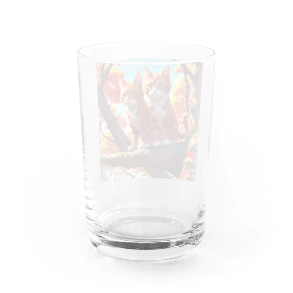 MARU0211の兄弟ニャンコ Water Glass :back